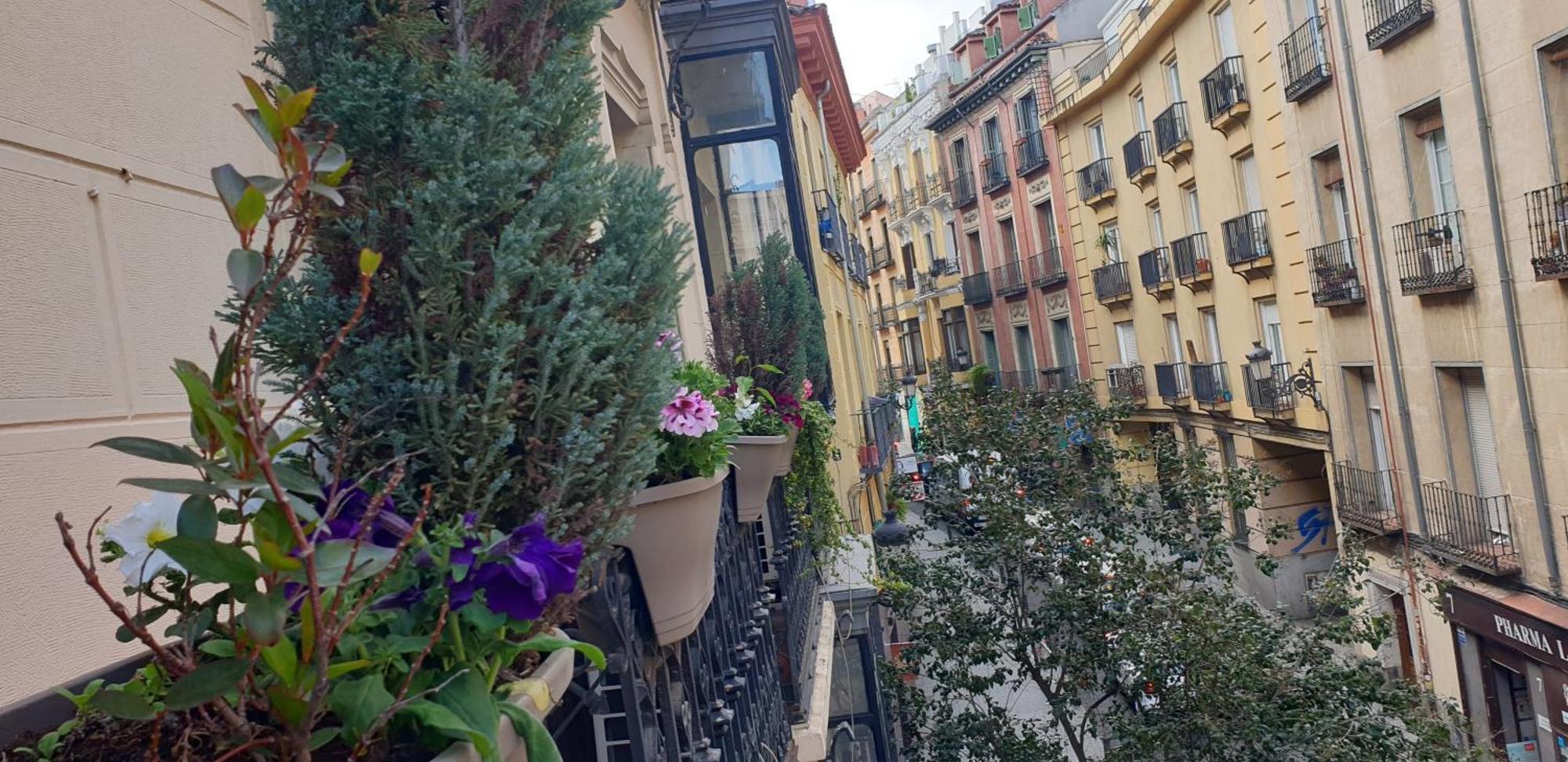 Hostal Las Fuentes (Adults Only) Madrid Ngoại thất bức ảnh